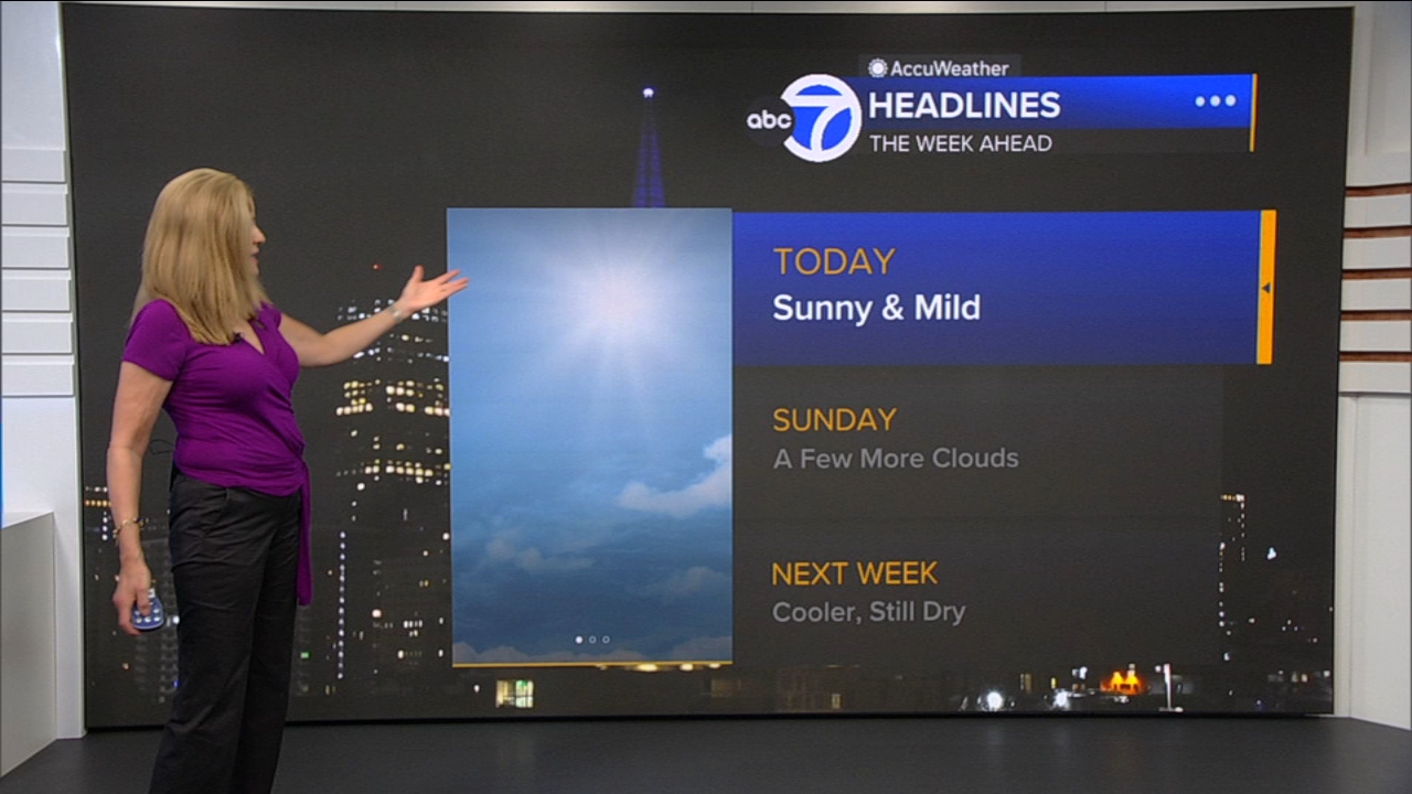 AccuWeather Forecast: Sunny and mild
— ABC 7 Bay Area, Odessa Community news