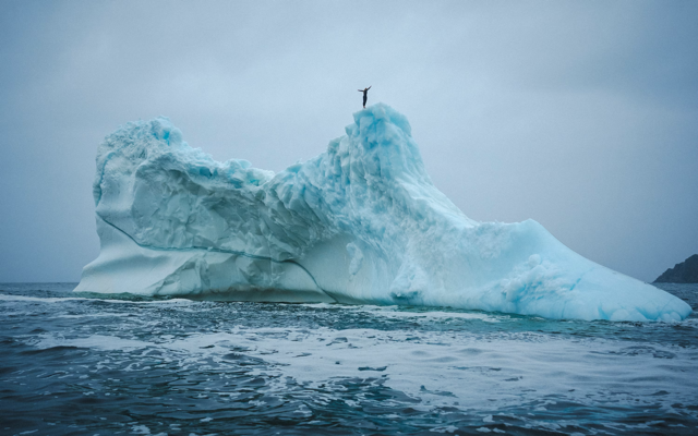 Cliff diver Molly Carson makes history, becomes first woman to dive off iceberg — WPBF Sports Palm Beach, Odessa Sports news