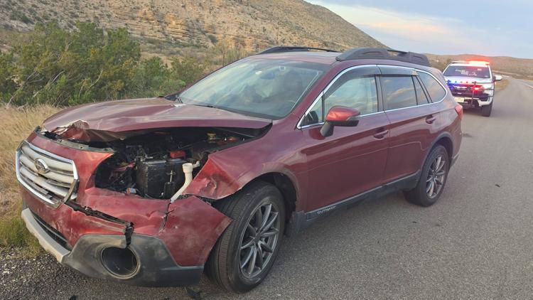 Reeves County deputies warn about invasive sheep following a crash on I-20 — Odessa Community news